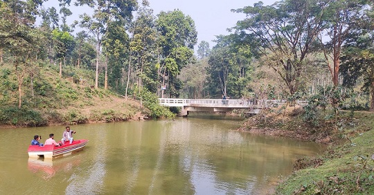 image-here